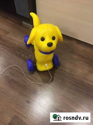 Каталка собачка Советск - изображение 1