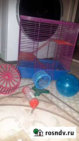 Клетка для домашнего питомца Стерлитамак - изображение 1