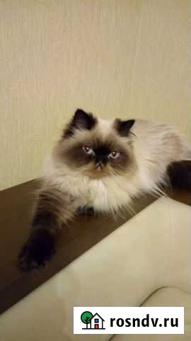 Вязка Нижний Тагил - изображение 1