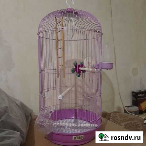 Клетка для попугая Новочеркасск - изображение 1