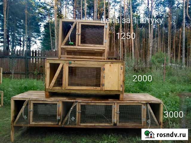 Клетки Невель - изображение 1