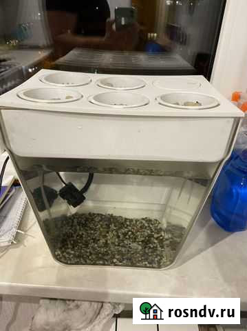 Экоферма, аквариум, акваферма Воскресенск - изображение 1