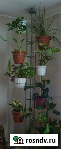 Стойка для цветов распорная Сыктывкар - изображение 1