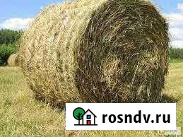 Суданка в рулонах Фролово - изображение 1