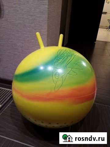 Гимнастический мяч Великий Новгород - изображение 1