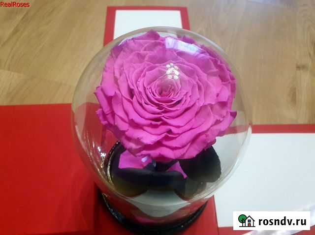 Роза в колбе Санкт-Петербург - изображение 1