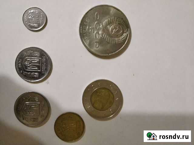 Колекционирование Лиски - изображение 1