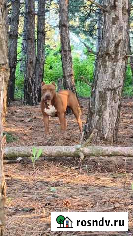 Вязка Кабель Анапа - изображение 1