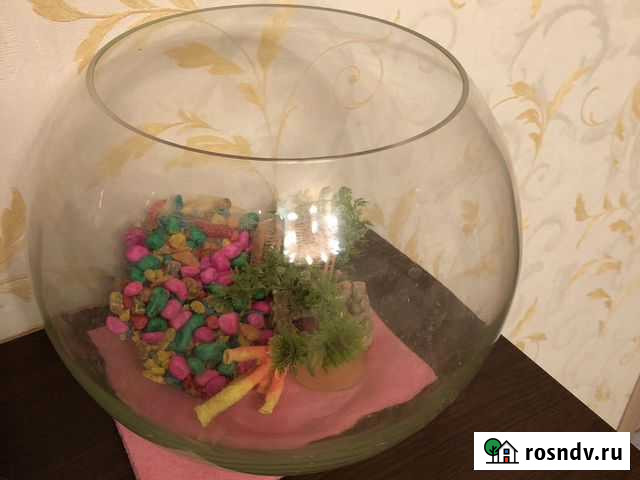 Аквариум Железнодорожный - изображение 1