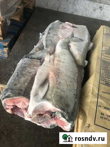 Кета свежемороженая Малино - изображение 1