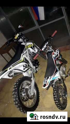 Т.рекс Волгоград - изображение 1