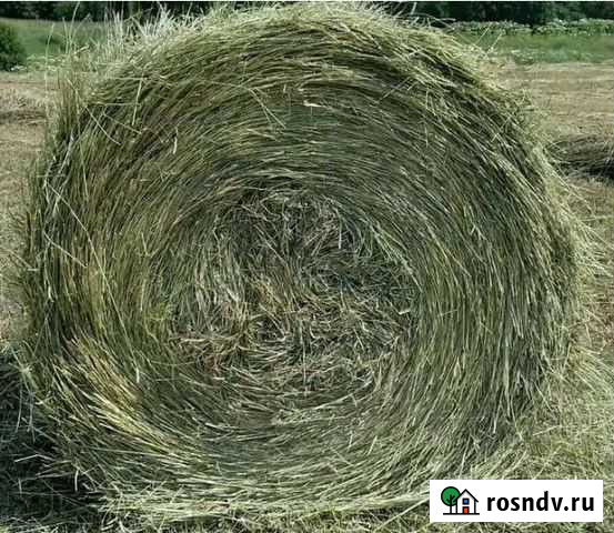 Сено рулонах Кесова Гора - изображение 1
