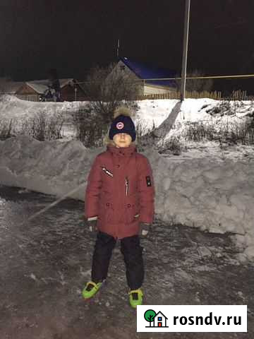 Зимний пуховик/ зимняя куртка Лебедянь - изображение 1