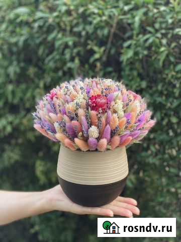 Сухоцветы Волгоград - изображение 1