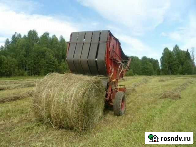 Тюки сена Белинский - изображение 1