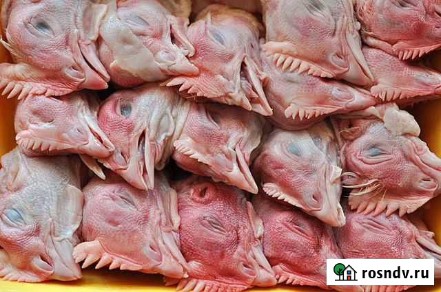 Куриные головы для собак Ступино - изображение 1