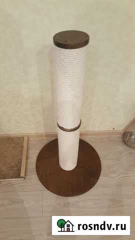 Когтеточка Новороссийск - изображение 1