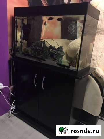 Аквариум с тумбой Ликино-Дулево - изображение 1