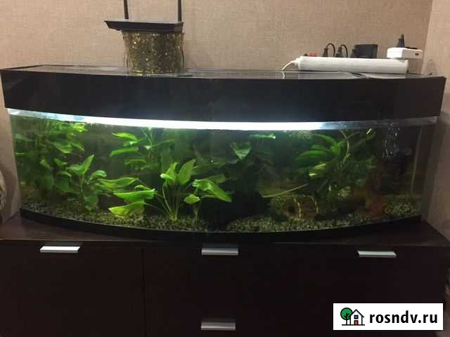 Аквариум Химки - изображение 1