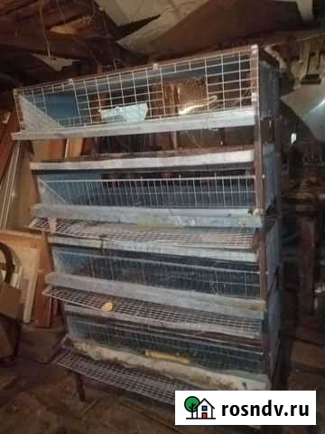 Клетки для перепелов б/у Сафоново - изображение 1