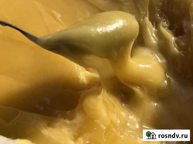 Мед Гречишный,Разнотравье,Луговой Оптом Одинцово - изображение 1