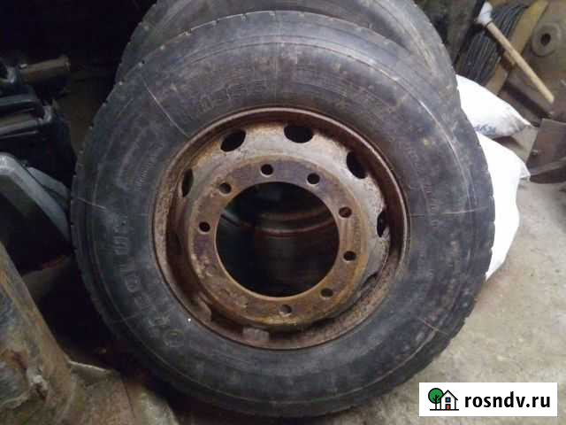 Колёса на грузовик Псков - изображение 1