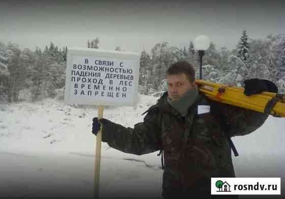 Кадастровый инженер. Межевание, Технический план Гатчина