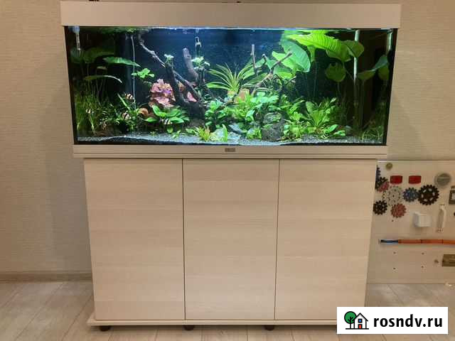Аквариум juwel rio 240 Екатеринбург - изображение 1