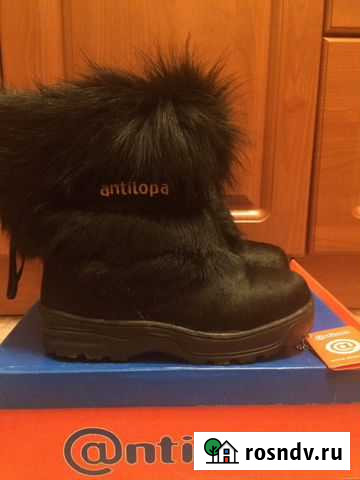 Сапожки антилопа, пони Нижний Новгород - изображение 1