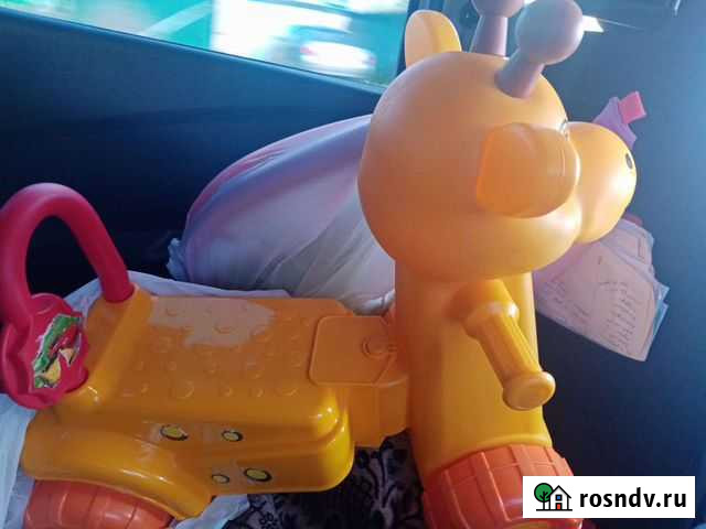 Жираф Муром - изображение 1