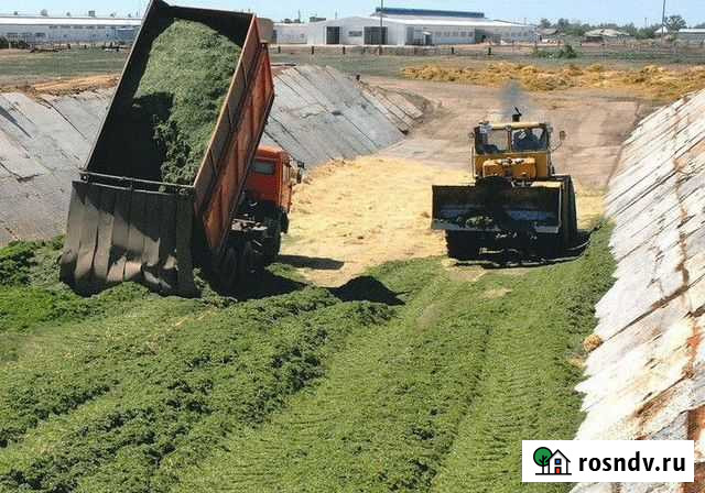Силос Сенаж Юрьев-Польский - изображение 1