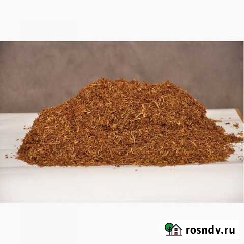 Рассада Tabak Ипатово - изображение 1