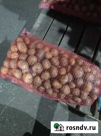 Продам картофель Катайск - изображение 1