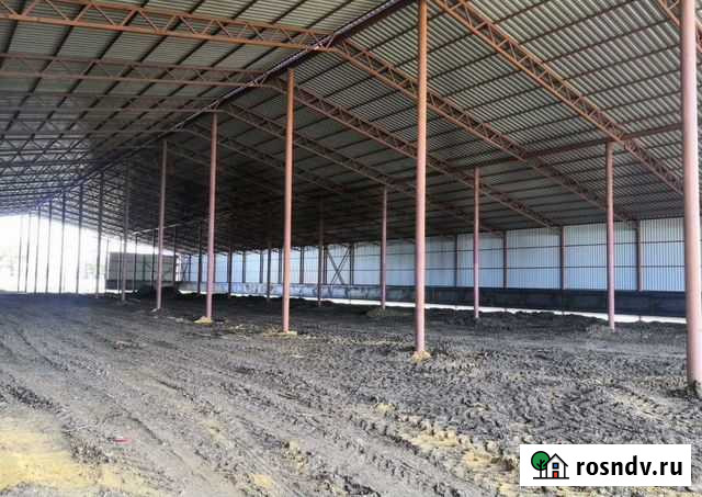 Строительство ангаров Мулловка - изображение 1