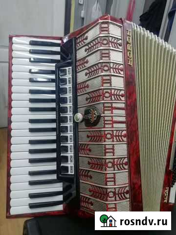 Аккордеон Ростов-на-Дону - изображение 1