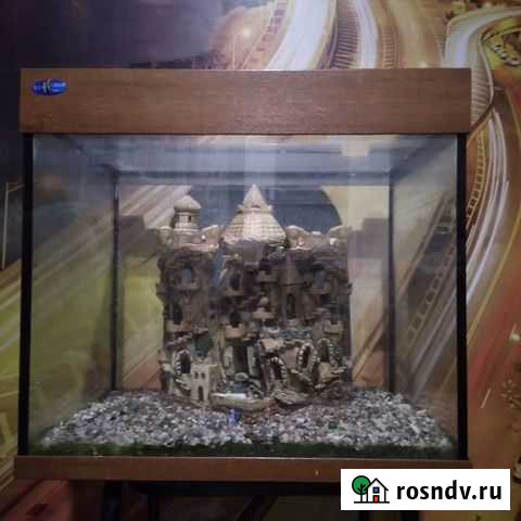 Аквариум Пенза - изображение 1