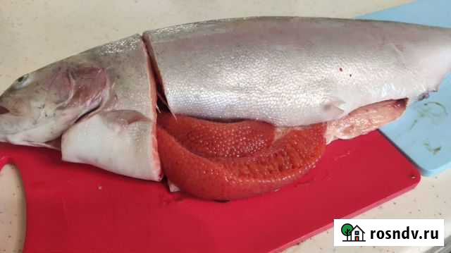 Форель Семга опт и розница Звенигород - изображение 1