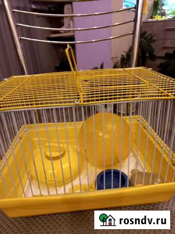 Клетка для грызунов Маркова - изображение 1