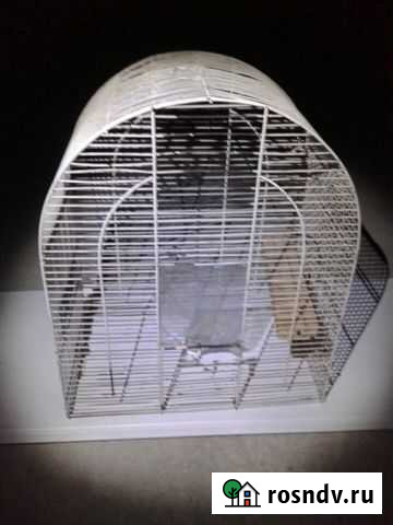 Клетка для птиц / грызунов / животных Таганрог - изображение 1