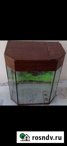 Аквариум Шушенское - изображение 1