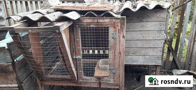 Клетки для кроликов Михайловка - изображение 1