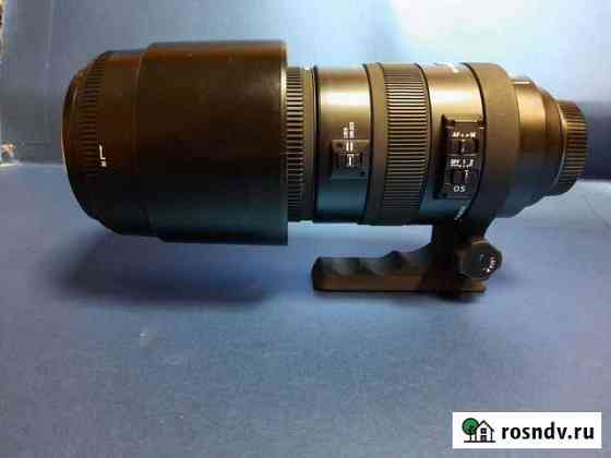 Объектив sigma для nikon Черноголовка