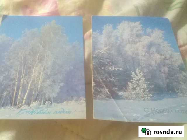 С новым годом Саки - изображение 1