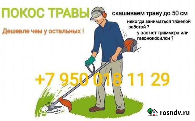 Покос травы триммером Ульяновка - изображение 1