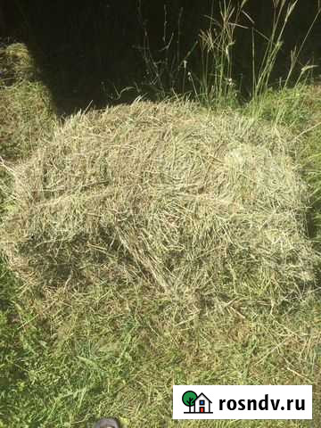 Сено Белогорск - изображение 1