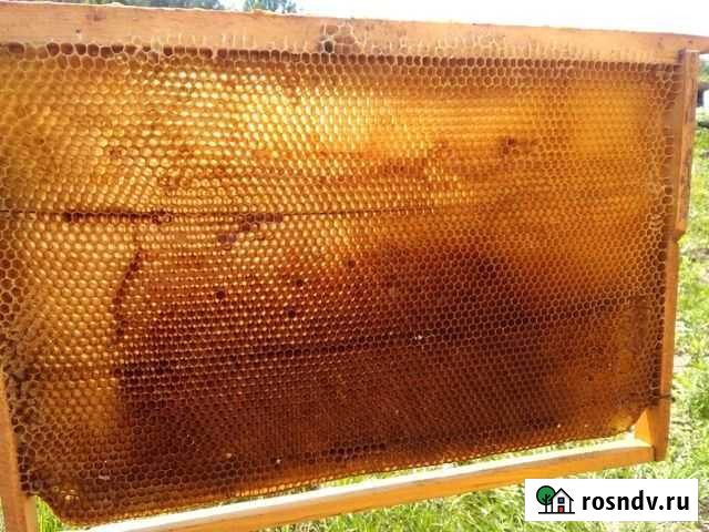 Сушь Куйбышево - изображение 1