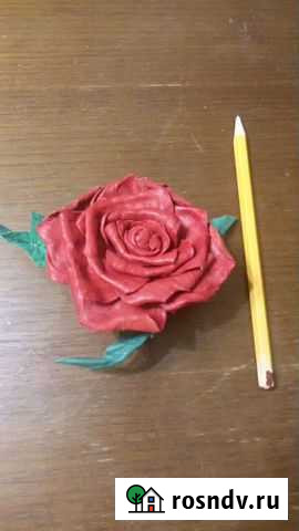 Роза Волгоград - изображение 1