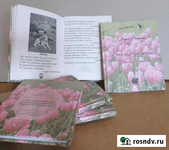 Л. А. Чарская Весёлая дюжинка Всеволожск - изображение 1