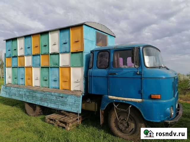 Пчелы пасека ифа Тимашевск - изображение 1