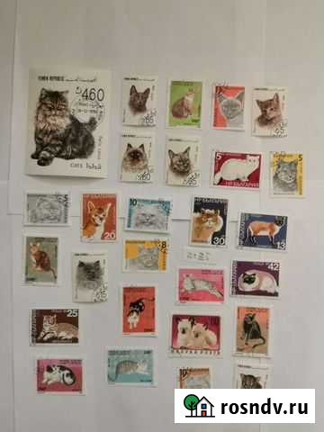 Почтовые марки, тематика Кошки Иркутск - изображение 1